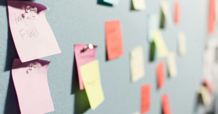 Helen Northern B2B and B2C Business Models